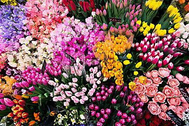 TGA：Pearl Abyss工作室公布《多可比》主题曲MV